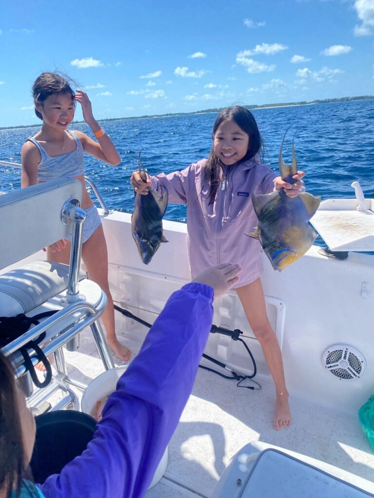 Swim with sharks