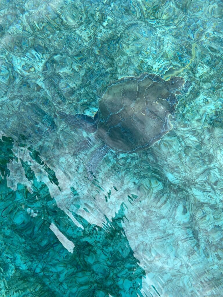 fishing in crystal-clear waters
