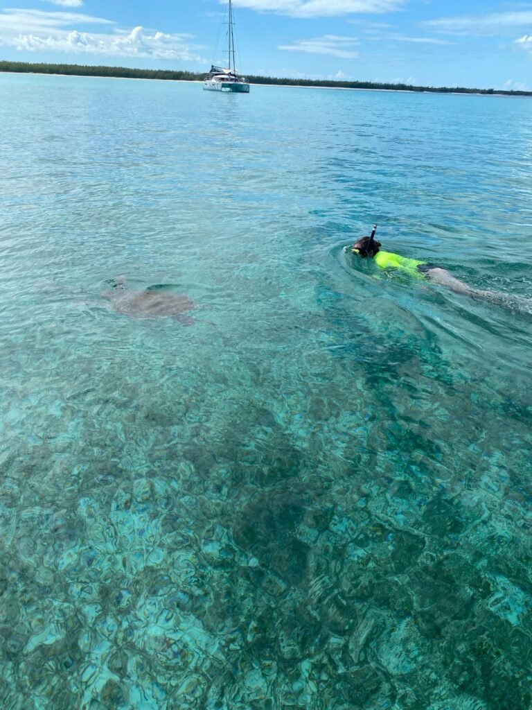Rose Island Snorkeling