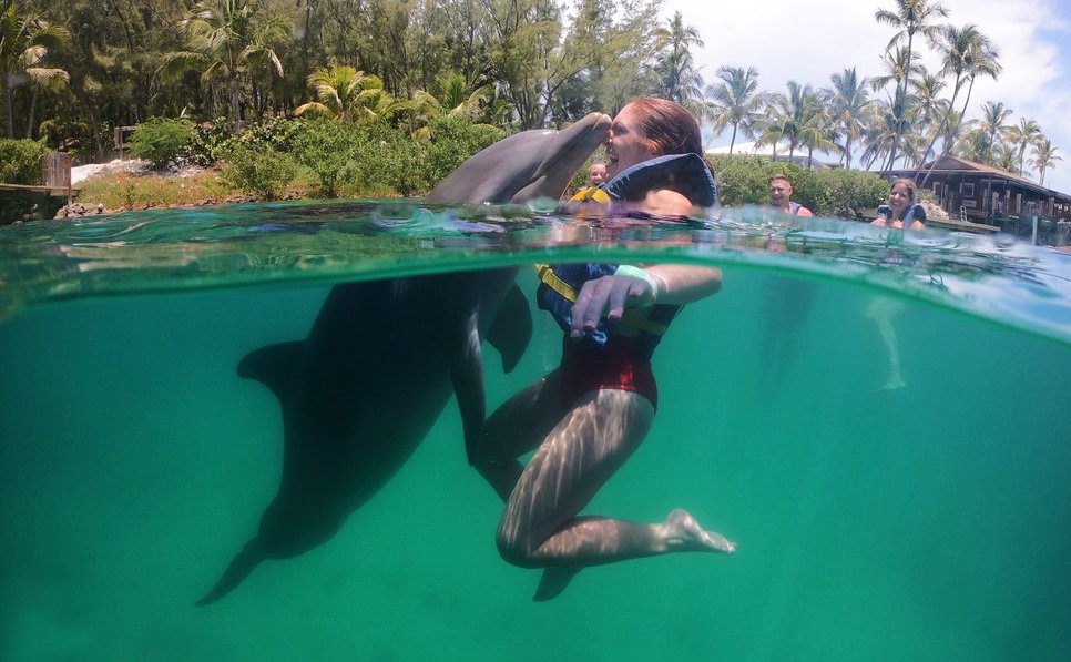 Blue Lagoon Island – Swim with Dolphins