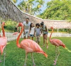 Ardastra Gardens & Zoo