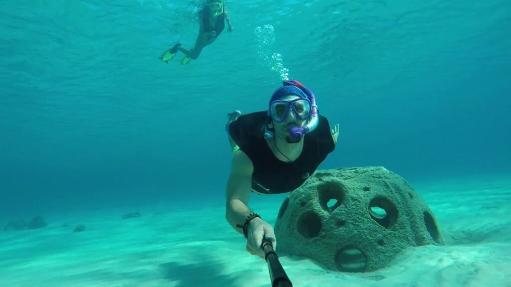 Diving at Clifton Heritage Park